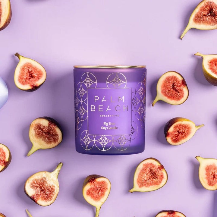 Palm Beach Collection - Fig Tree 420g Candle