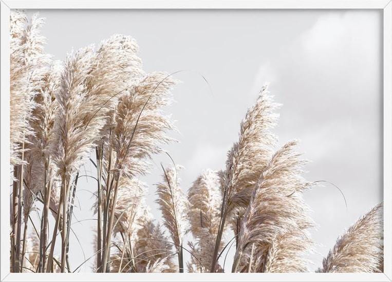 Pampas Grass Art Print in Neutral Tones - Hali Home Art Online